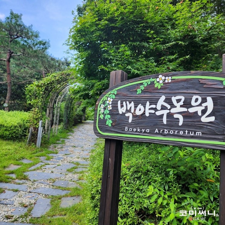 [충북 음성] 가족과 함께 한 백야자연휴양림 휴양관 102호 백야수목원 산책