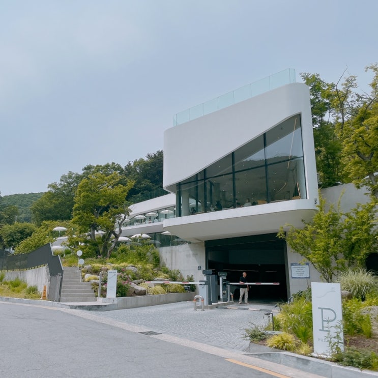  [판교] 푸릇한 숲뷰 판교대형카페 - 모아니