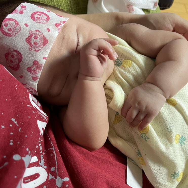  ~66일 조이 | 2개월 예방접종 후기, 해열제 없이 열냉각시트 활용!