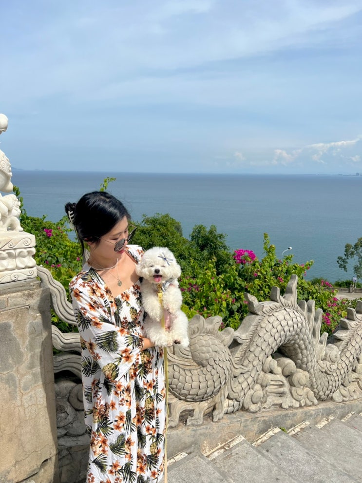  애견동반 해외여행, 베트남 다낭 영흥사(링엄사) 강아지랑 가기 괜찮아요!