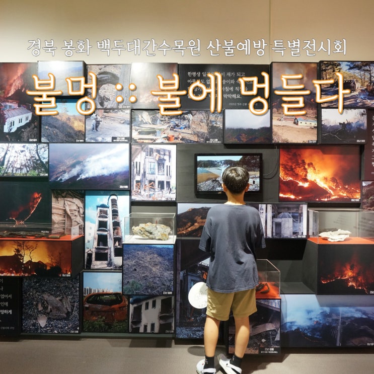  불멍 :: 불에 멍들다. 산불예방을 위한 특별 전시