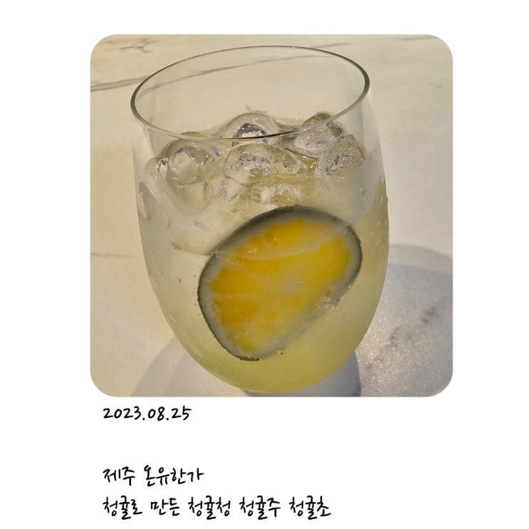 제주 온유한가 청귤로 만든 청귤청 청귤주 청귤초