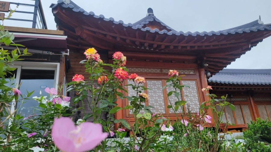자매식당 사진 3