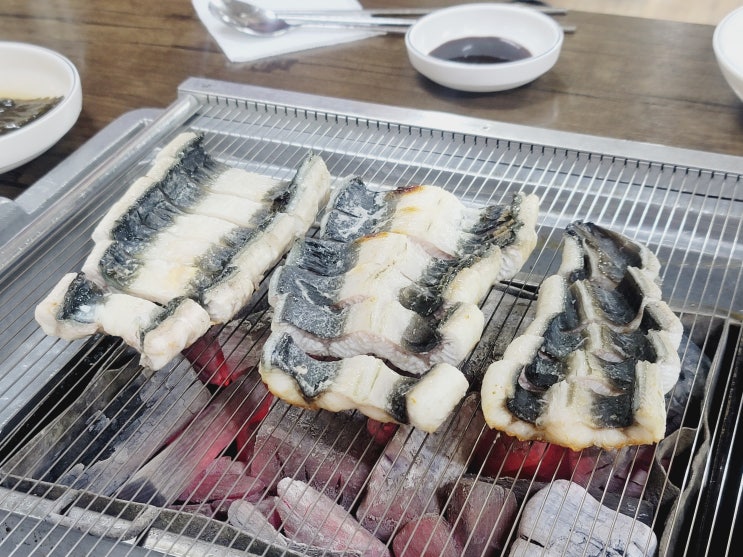  신정네거리 맛집 힘찬민물장어숯불구이 소금구이한판