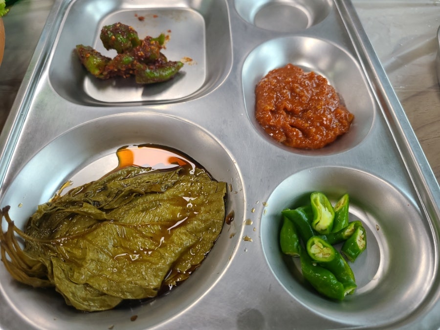 덕천참옻 사진 3