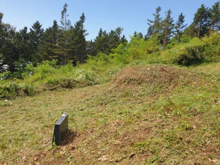  2023년 김천 봉산면벌초 고인돌장묘개발장의사