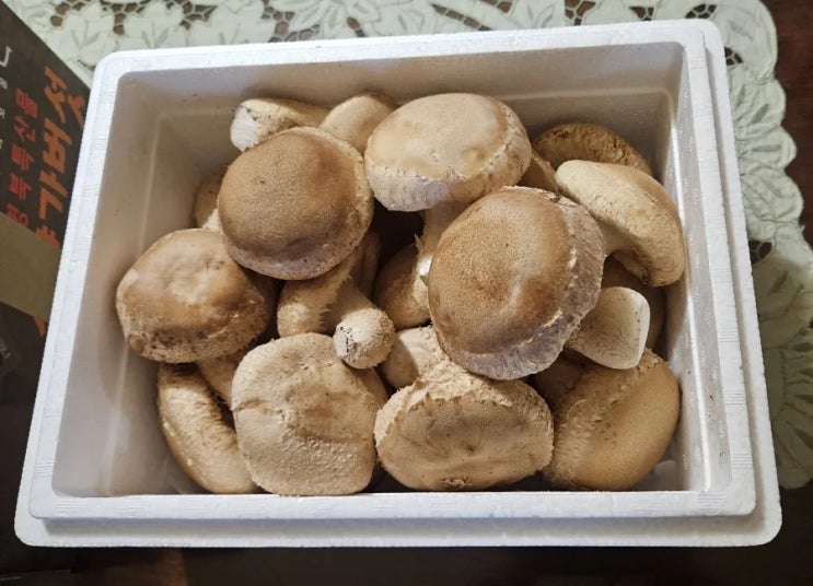 표고버섯 식감에 송이향이 나는 송향가버섯 택배 주문해요
