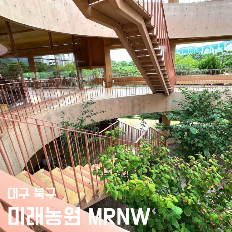 대구 mrnw 미래농원 - 대형카페 복합문화공간 후기