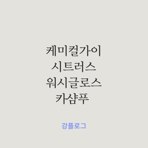  세정력과 윤활력이 뛰어난 케미컬가이 시트러스 워시 글로스 카샴푸 사용 후기그랜저 셀프세차