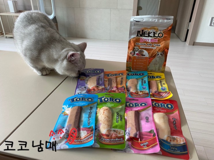  [체험단 / 협찬] 고양이 사료 NEKKO LOVEMIX 네코러브믹스 건사료 - 연어참치  기호성 좋은 사료 추천