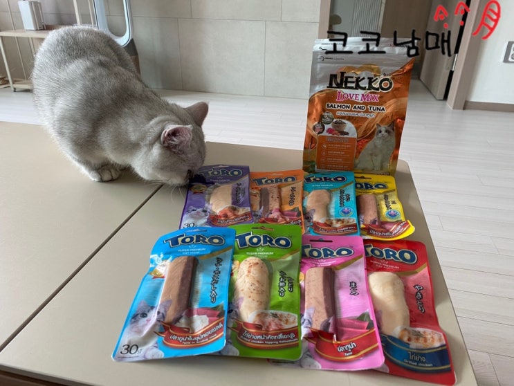  [체험단 / 협찬] NEKKO & TORO 네코 앤 토로 토로토로 통살 고양이 간식 기호성 좋은 고양이 간식