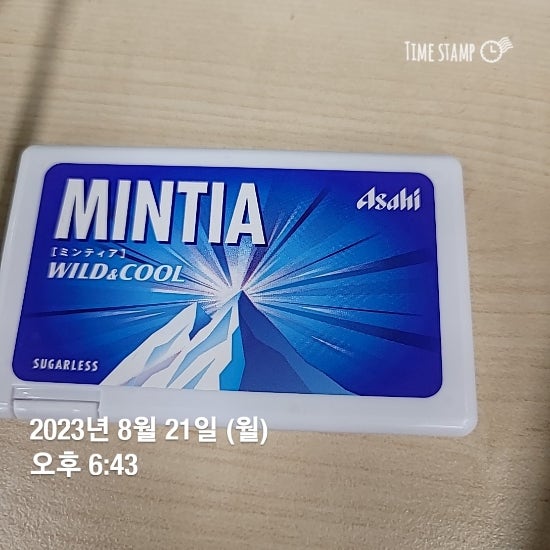  사무실간식 민트캔티 민티아 Mintia wild&cool, 포도맛 sugarless