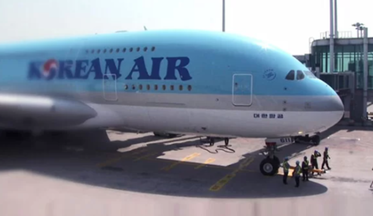 <b>대한항공 여객기</b>, 김해<b>공항</b> 착륙 실패 인천으로 회항 후 다시... 