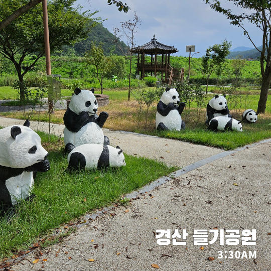  들기 공원 - 경산 가볍게 놀러가기 좋은 작은 공원