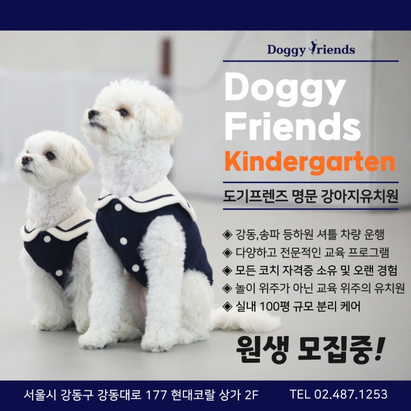 사진 3