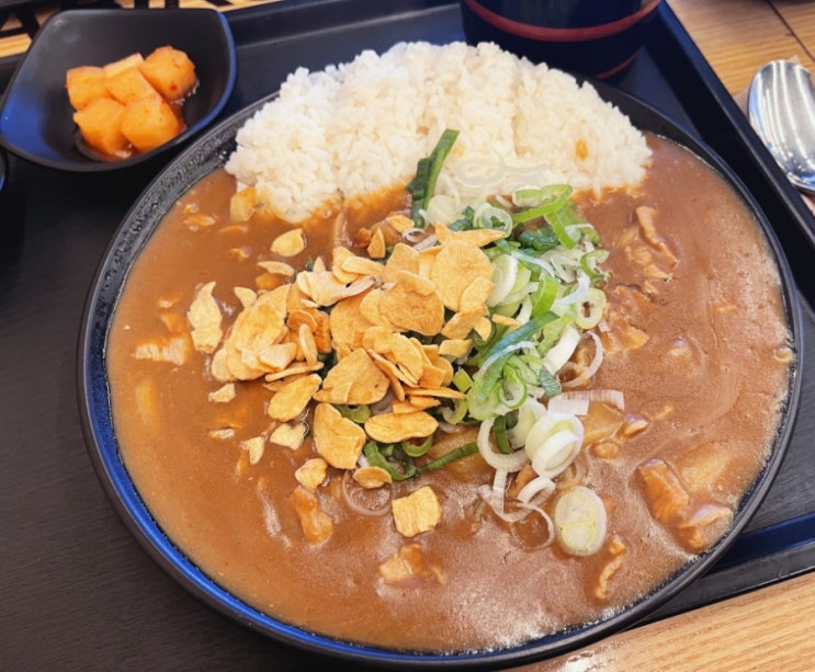  가족 외식으로 좋았던 의정부로데오카레 아비꼬