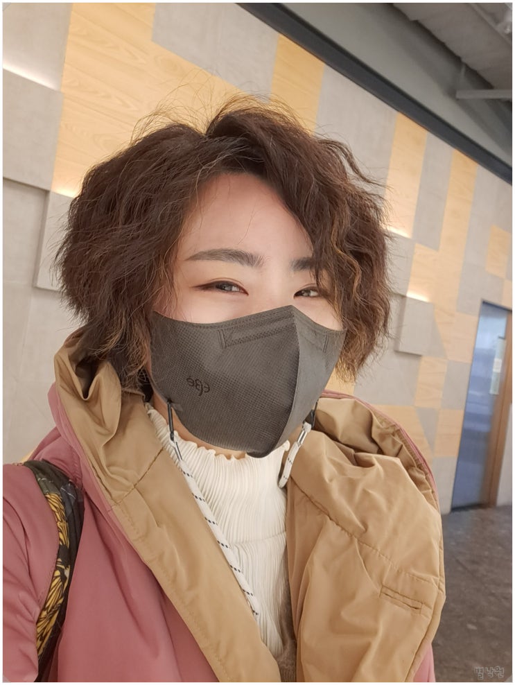  여자 숏컷 히피펌에서 단발펌까지_ 안양 뽀끌레헤어 내돈내산 후기