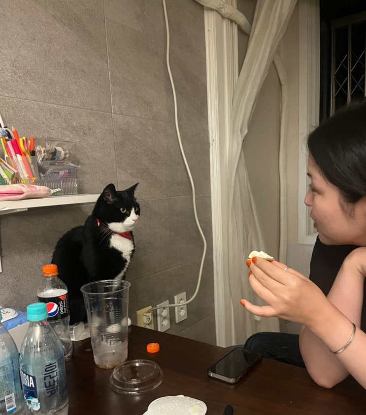  둥글게 둥글게