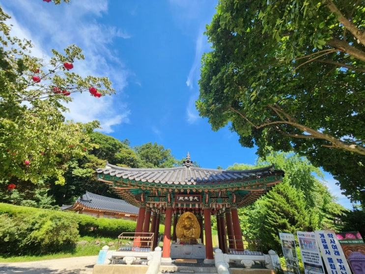  남양주 절 봉선사 연꽃축제 애견동반 가능 초켜고 왔어요.