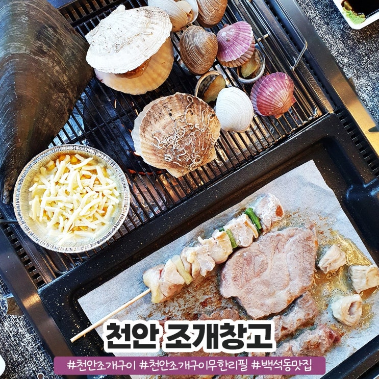 천안조개구이 무한리필 즐기는 백석동 조개창고