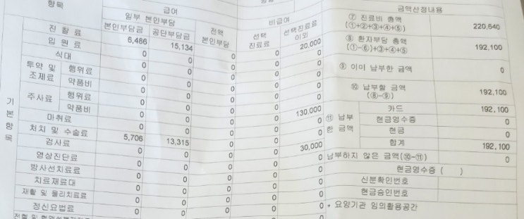  23년 8월 3살 유아,6살 유치원생 일주일간 38~40도 고열,원인,아이 독감 검사 비용,코로나 검사 비용,타이플루 수액 비용,실비보험 여부