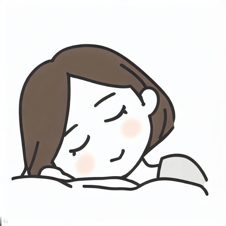  각 나라별 불면증 퇴치 방법