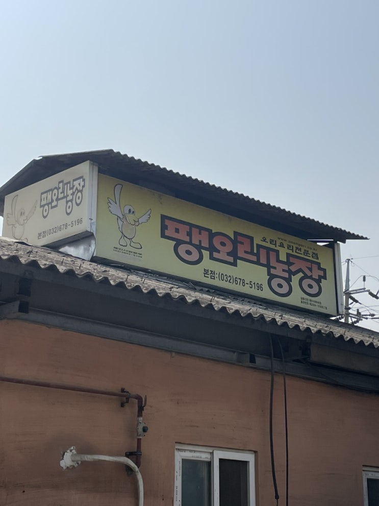  부천 오리 맛집 팽오리농장 [체크인 챌린지]