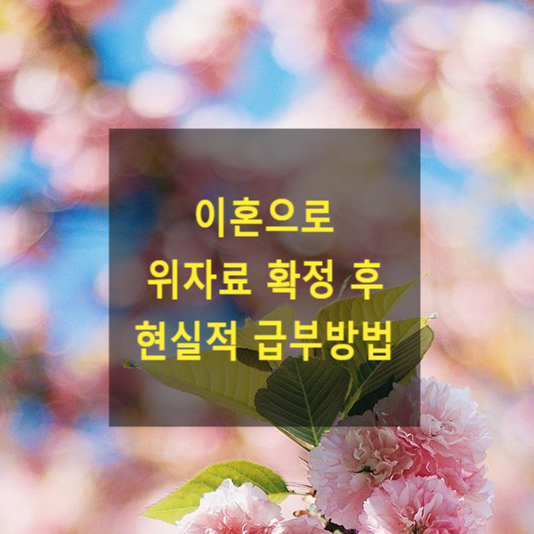  이혼으로 인한 위자료 확정 후 현실적으로 받는 방법(이행명령, 과태료, 감치, 강제집행)