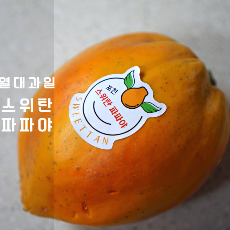  열대과일 종류 포천 스위탄 파파야 과일 먹는법