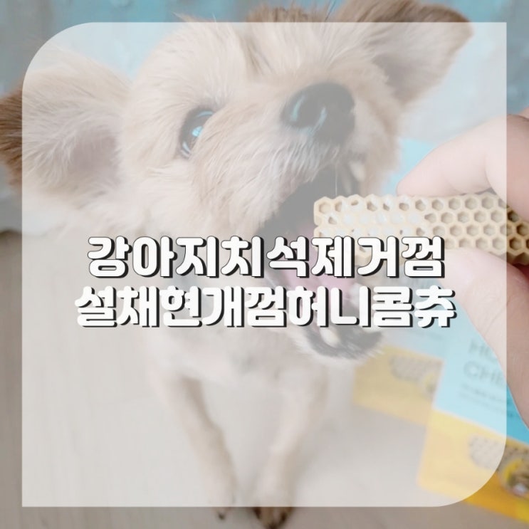  강아지개껌 치석제거 설채현개껌 부드러운 노견간식 가수분해츄