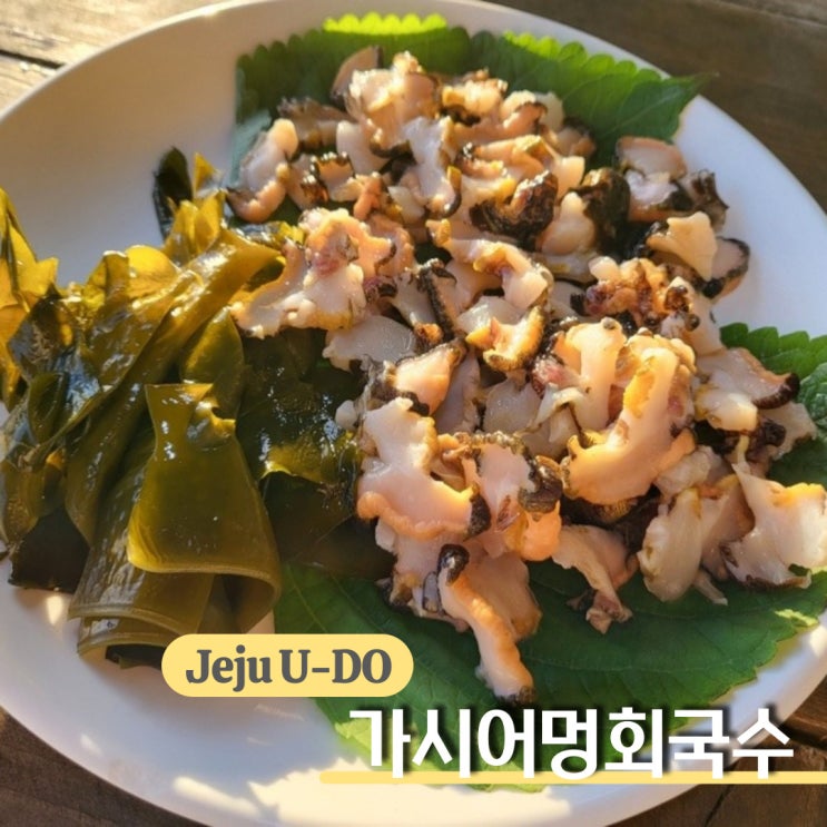 제주 우도 맛집, 내돈내산 제철 해산물 전문 가시어멍회국수에서 뿔소라회 먹었어요