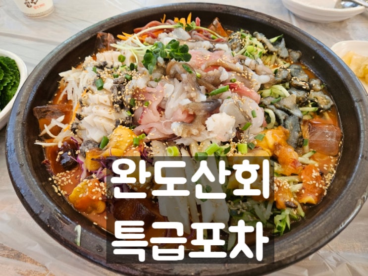  가락시장역맛집: 완도산회 특급포차 가락본점 장독대 물회 대박!!