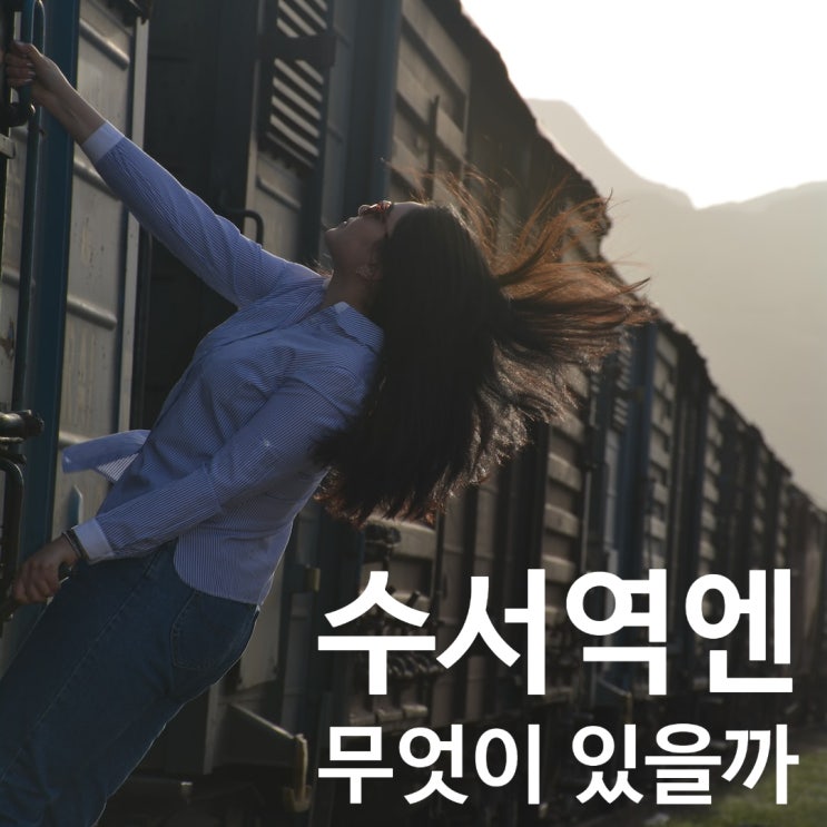  SRT 수서역 식당 먹거리 물품보관함 편의점 살펴보기
