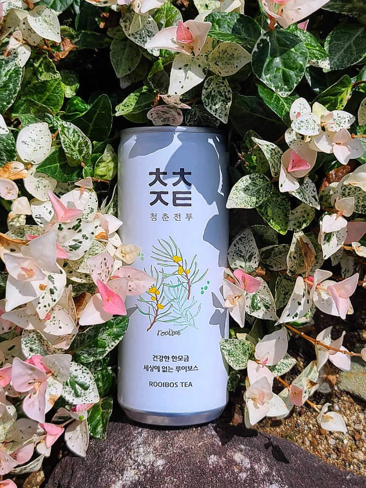  부드러운 저칼로리 탄산 다이어트 음료로 만드는 보드카 하이볼레시피