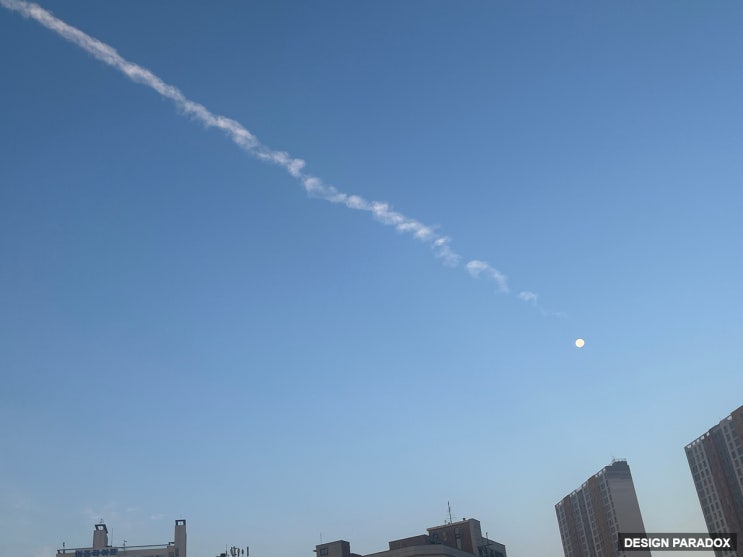  달의 몰락과 일상의 사진 몇 컷