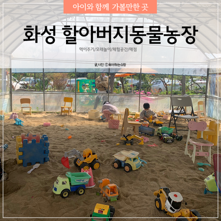  화성 아이랑 할아버지동물농장 다녀온 찐후기