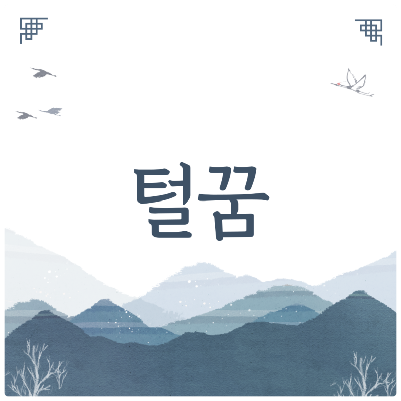 모의 해몽 컬렉션 개의 털을 깎다 꿈 긴 털 나는 꿈 털을 깎는 꿈 해몽 해몽 손자의 등털에 대한 꿈풀이