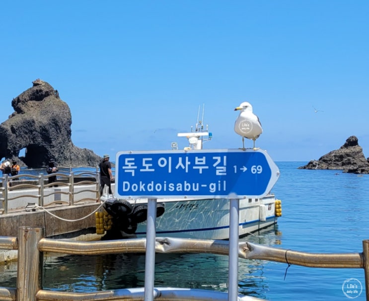  독도 입도 한번에 성공후기/ 독도에 가려면 배 예약은 필수/ 독도명예주민증 신청은 이렇게