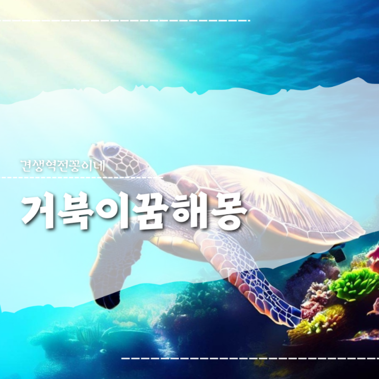  거북이꿈해몽 거북이자라꿈 거북이를본꿈 거북이 꿈 태몽