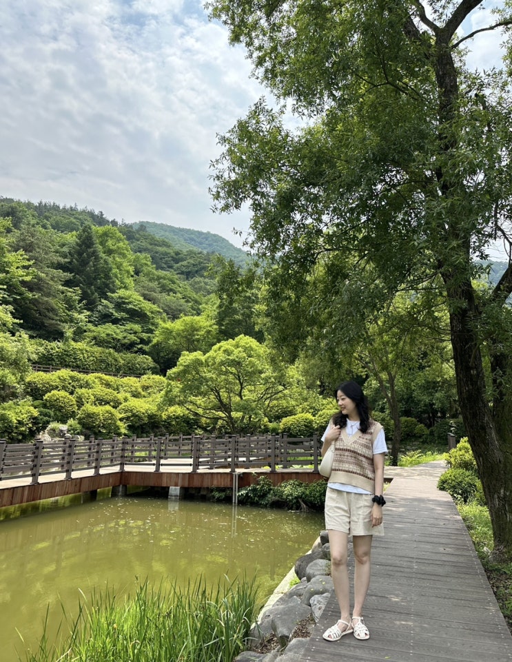  초록초록 당일치기 완주 힐링 여행 (대아수목원, 영숙백숙, 완주한옥마을, 두베커피)