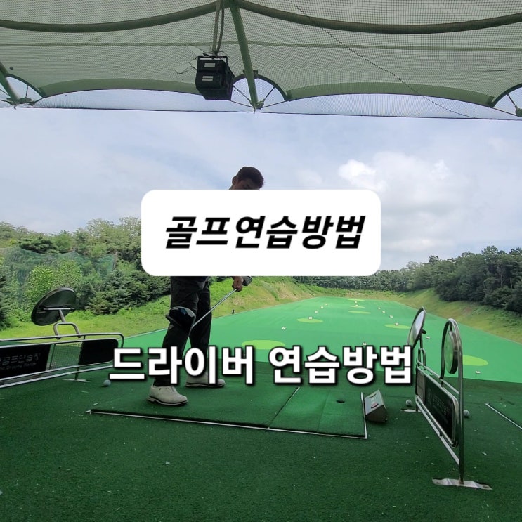 [골프연습] 알달팡의 골프드라이버 스윙연습방법 소개(싱글 가즈아)