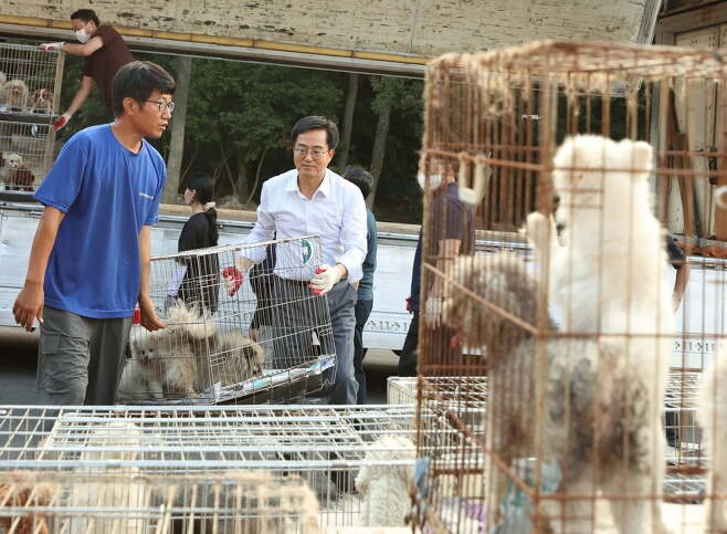 <b>김동연</b> 경기지사, <b>화성</b> 개 사육장서 1400마리 구출했다