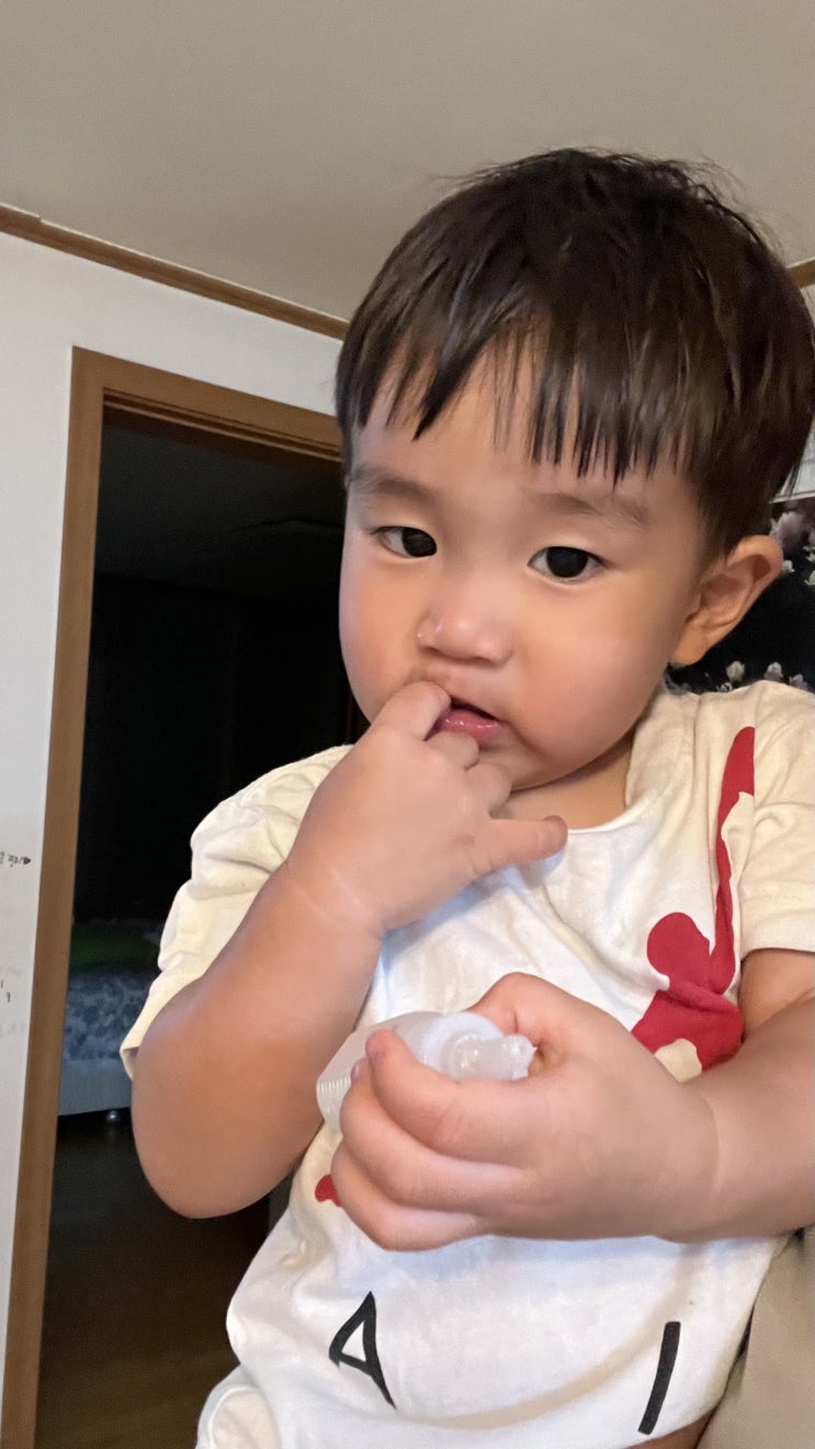  유아영양제 구강유산균효과(ft.신바이오틱스추천 트니트니)