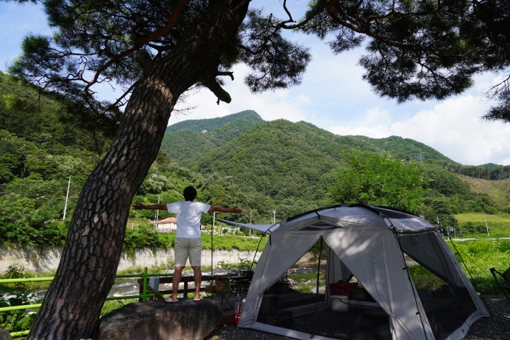 비수기 조기입실과 늦은퇴실 가능한 캠핑장 | 여유롭게 즐기는 캠핑 | 막바지 여름 캠핑을 즐기자 | 강원도 영월 산솔오토캠핑장 | 새우탕, 칠리새우