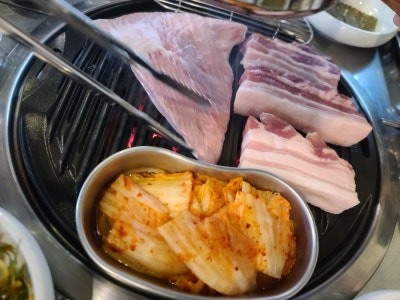 돈구어 이미지