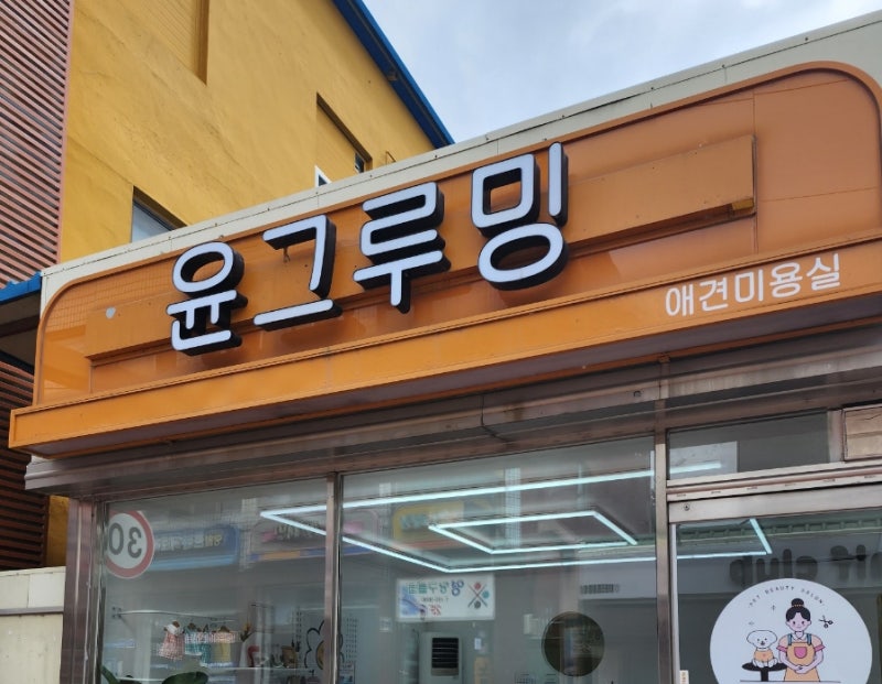사진 3