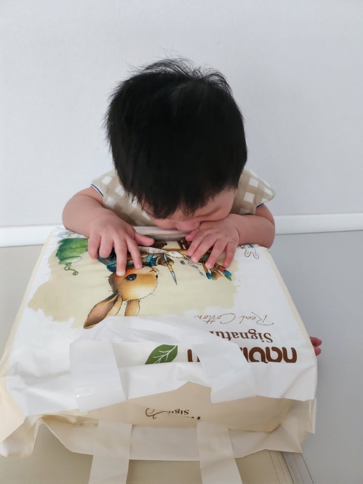  뒤집고 서는 아기를 위한 나비잠 시그니처 팬티 기저귀