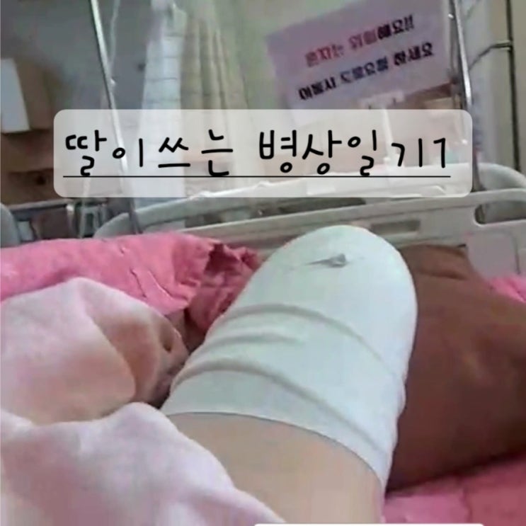  입원에서부터 무릎수술후까지, 막내딸이 쓰는 일기 1
