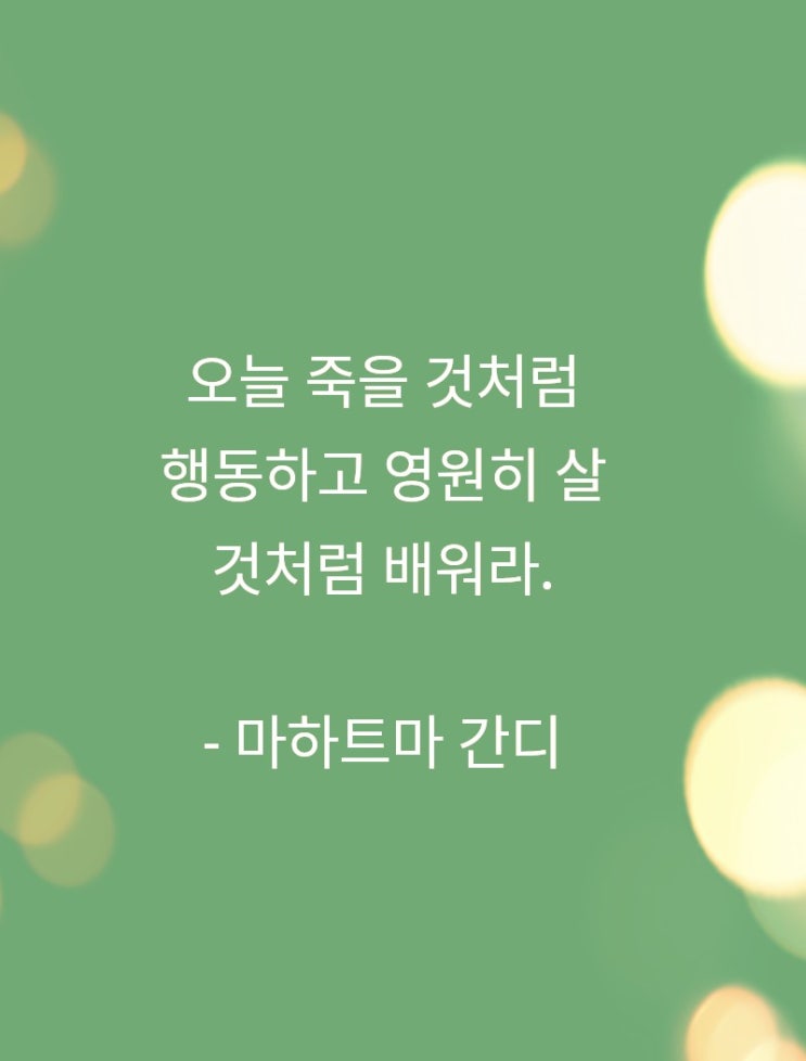 맥스마케터의오늘의마음비타민 오늘죽을것처럼행동하라 마하트마간디 맥스마케터의오늘의마음비타민 오늘죽을것처럼행동하라 마하트마간디
