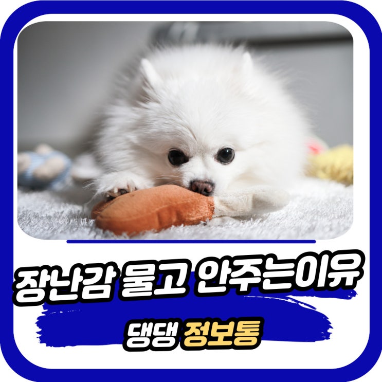  강아지 장난감 집착 물고 다시 주지 않는 이유
